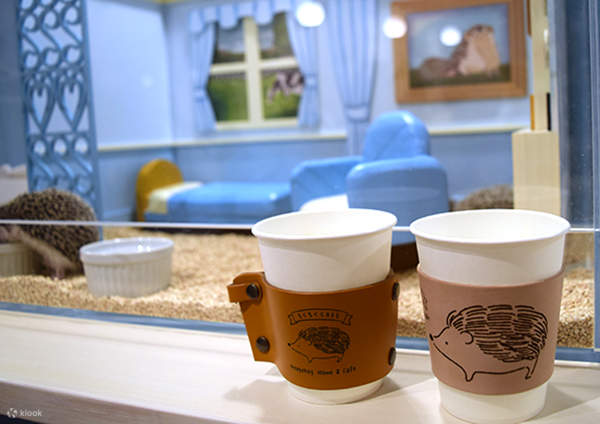 เครื่องดื่มที่ร้าน Hedgehog Home and Café ในเมืองนาฮะ 