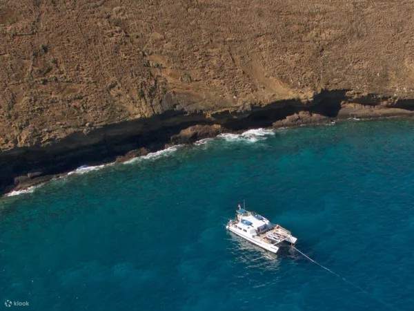 Je vis mes rêves de documentaire océanique à Maui