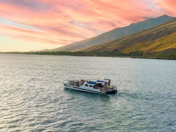 Front-row seat to the humpback whale show!