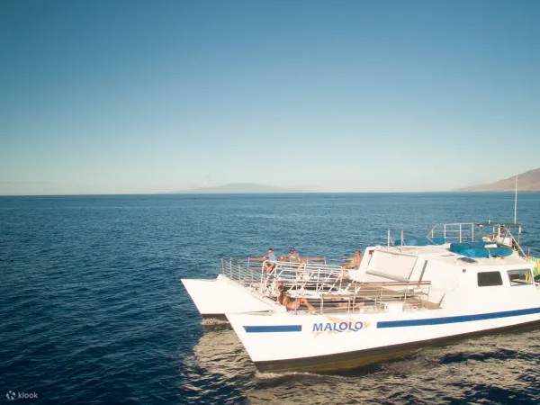 ล่องเรือเลียบชายฝั่งเกาะเมาอิไปกับยักษ์ใหญ่แห่งท้องทะเล