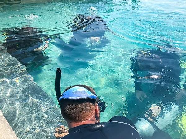 Explore the Depths: PADI Open Water Diver with 5 Star Dive Center in