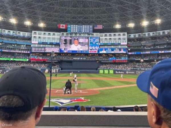 多伦多蓝鸟队罗杰斯中心棒球赛