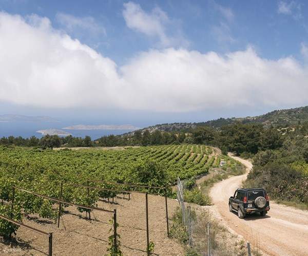 Explore More in Rhodes North Route Discover Hidden Gems Rhodes