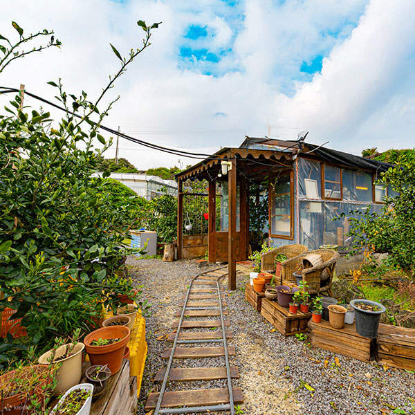 Jeju Alles Farm: Experiencia de Action Painting