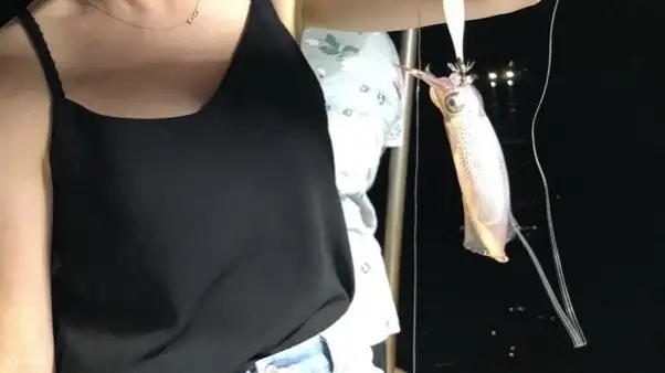 钓墨鱼