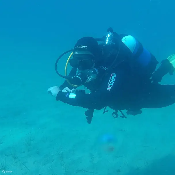 PADI 高级开放水域潜水员（电子学习）