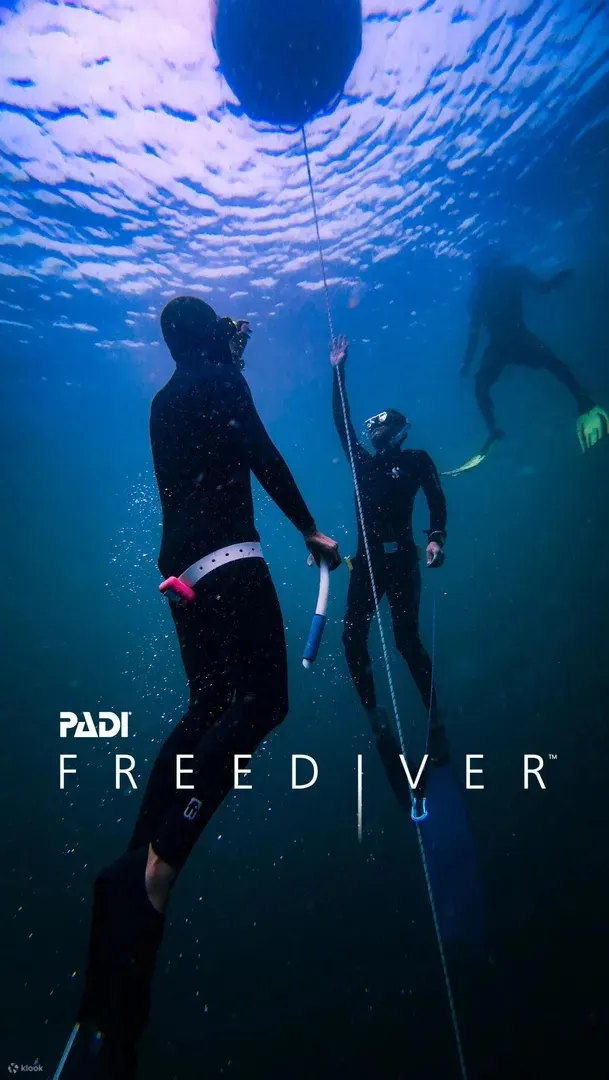从水面到深处，PADI 名仕自由潜水员课程在展现海洋宁静之美的同时，挑战您的身心。