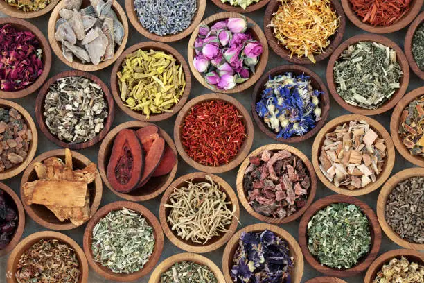 印度 Panchakarma 静修 由 Chamak Ayurveda 提供 14 天