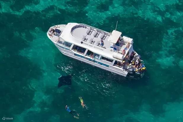 Schwimmen mit Mantarochen am Ningaloo Reef