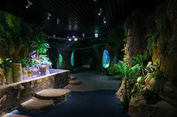 河内水族馆