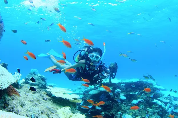 【潜水天堂】幻之岛周边海域拥有珊瑚礁与热带鱼栖息地，登岛后移动至潜点，观赏珊瑚与热带鱼