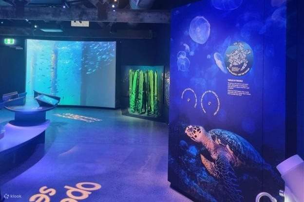 Vé Trung tâm khám phá biển Busselton Jetty