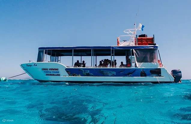 Познакомьтесь с коралловыми чудесами вблизи, не промокнув – присоединяйтесь к нашему круизу!