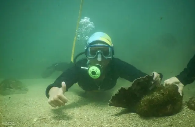 馬爾萬(Malvan)深潛體驗(果阿邦出發)