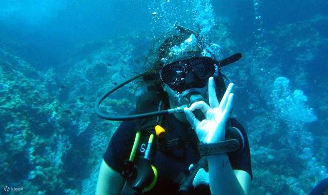 Deep Dive Dreams: Advanced Course in Koh Phangan with PADI 5* Center