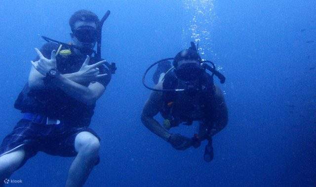 PADIアドバンスドオープンウォーターダイバーコース（パンガン島 / PADI 5 Star Center提供）