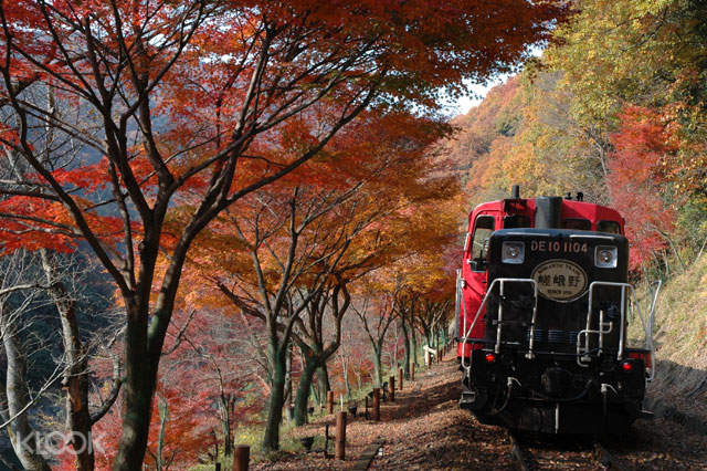 京都嵐山小火車