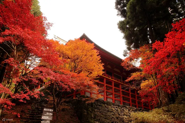 滋贺县比睿山延历寺门票
