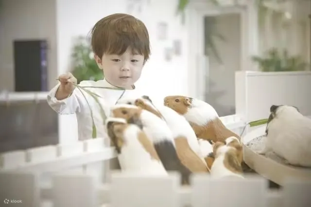 阿尼图奇