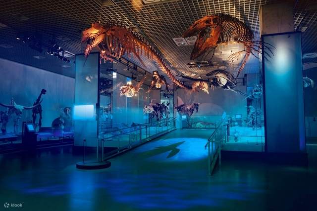 国立科学博物館 入館チケット (東京)の予約 | Klook 国立科学博物館 入館チケット (東京)の予約 | Klook