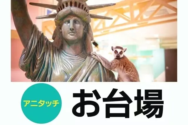 AniTouch Aqua City 台场