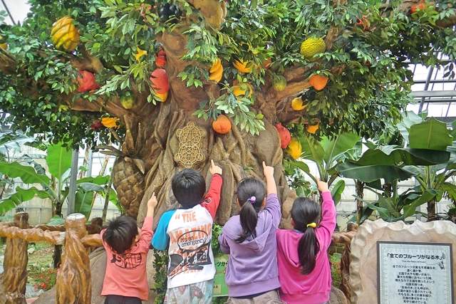 沖繩水果樂園門票