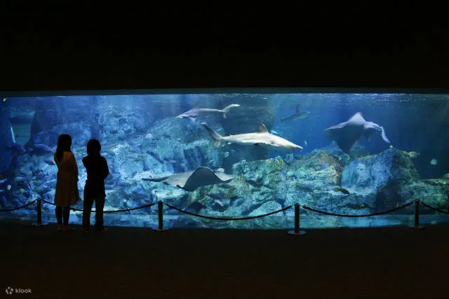 水族馆
