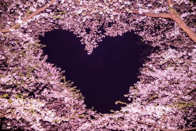 aomori-oirase-stream-lake-towada-mount-hakkoda-day-trip-klook