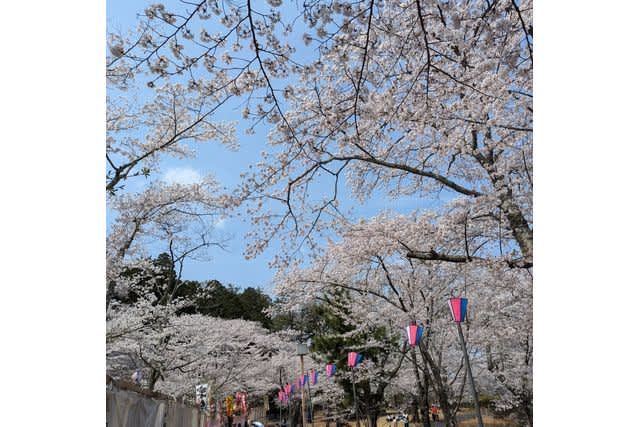 Billet d'entrée au jardin principal de Kairakuen (Ibaraki)