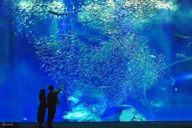 石石生活