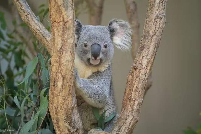 나고야시 히가시야마 동식물원