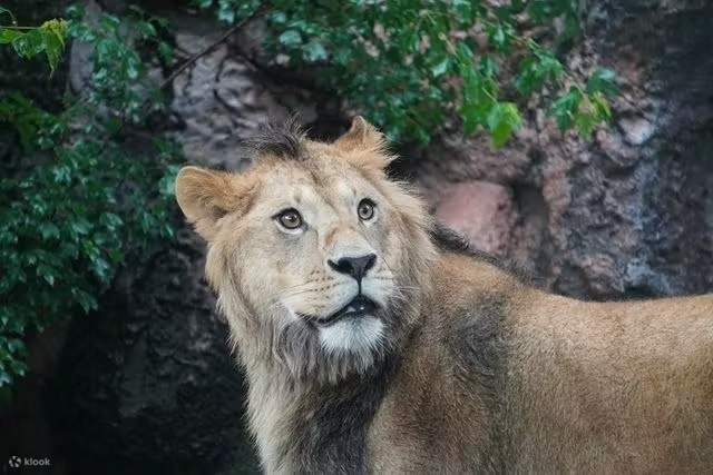 나고야시 히가시야마 동식물원