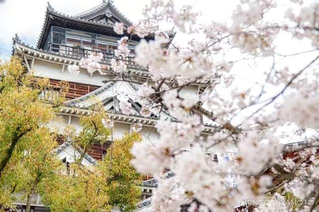 Замок Хиросима