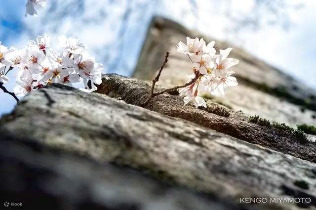 Замок Хиросима