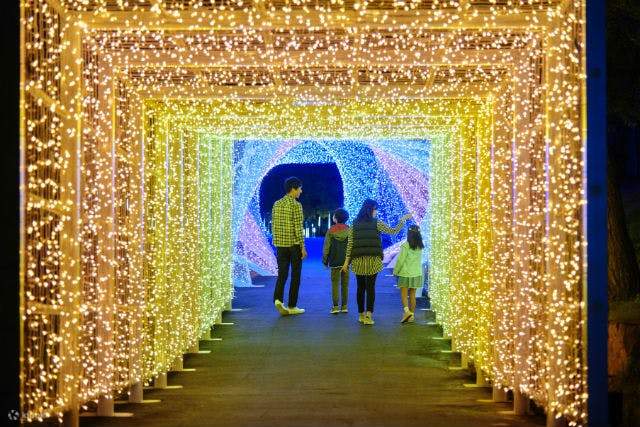 只在冬季舉行的聯覺，作為一年四季都可以享受的燈光秀而新生。