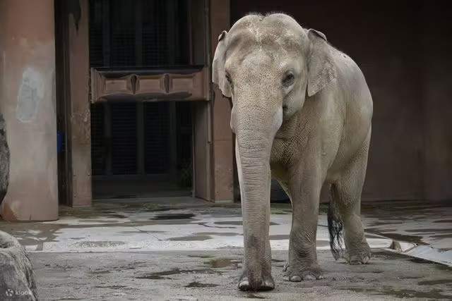 나고야시 히가시야마 동식물원