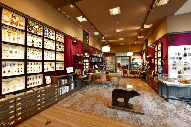 Shiga Prefectural Lake Biwa Museum Exhibition Area