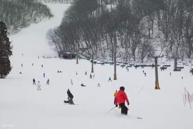 Hakuba Happo-one Ski Resort lift ticket (Nagano) - Klook Philippines