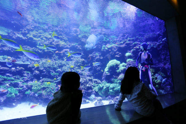 UmitamagoAquariumAdmissionTick UmitamagoAquariumAdmissionTick