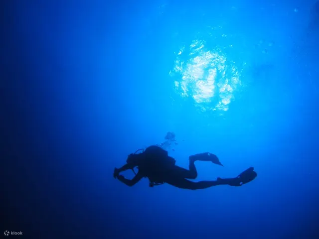 PADI 高级开放水域潜水员