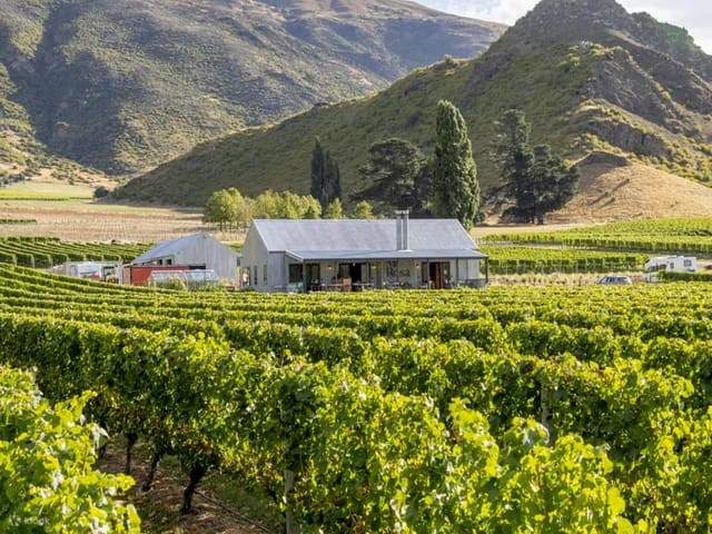 Bas Hop-On Hop-Off Wain di Queenstown	