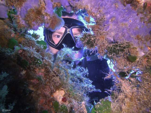 หลักสูตรดำน้ำเบื้องต้น (Open Water Diver) จากสถาบัน PADI