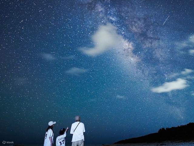 [Pulau Ishigaki/Malam] Tur Malam Hutan & Bintang