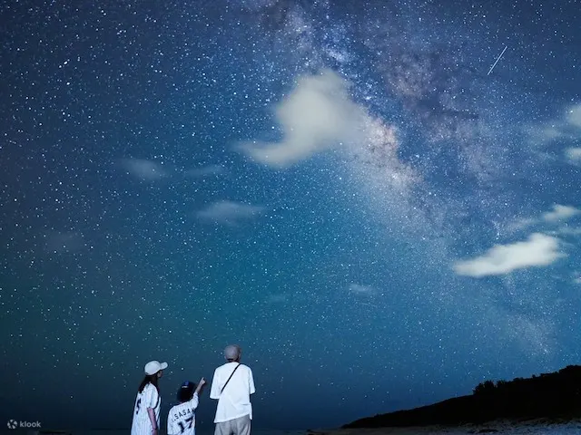 [石垣岛/夜]星空&丛林夜游
