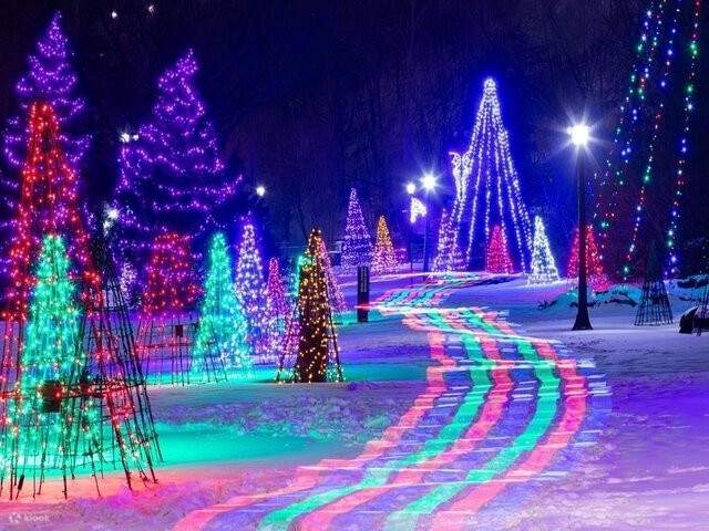 トロント発：ナイアガラの滝 冬の光の祭典イブニングツアー | Klook