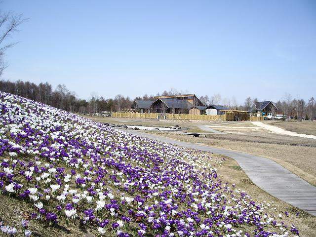 ノーザンホースパーク・入園チケット＆引馬セット券（北海道 千歳