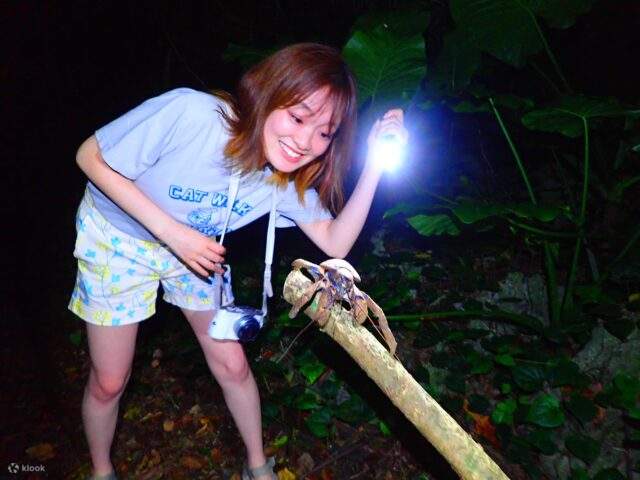 Enjoy Miyako Island at night, offering a different view from the daytime.