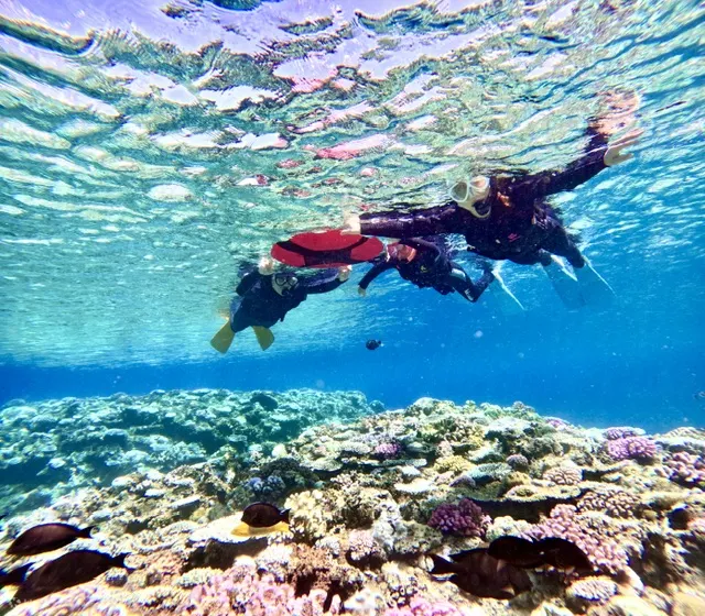 冲绳天然海滩立桨冲浪、皮划艇和青之洞窟浮潜体验（免费照片）