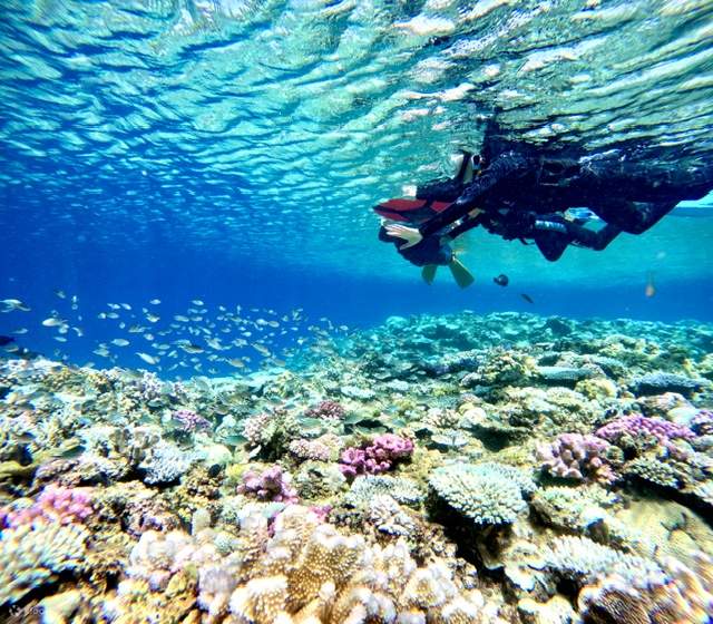 冲绳天然海滩SUP立桨、皮划艇&蓝洞浮潜体验（免费提供照片）