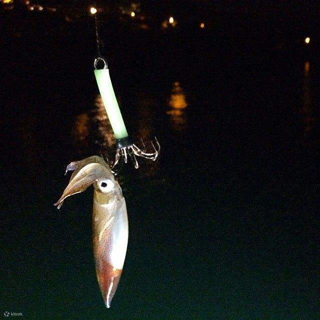 维港夜钓墨鱼体验